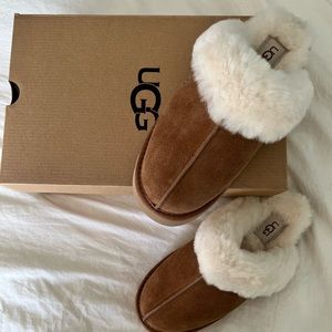 UGG Disquette Slippers - Brand New